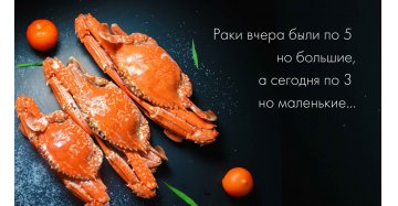Средняя стоимость заявки по нишам в 2022 году